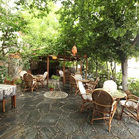 Erdem Mansion אורחן